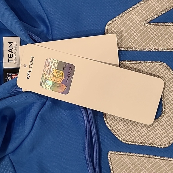 NFL Detriot Lions Hooded Sweatshirt Size Medium - Picture 3 of 8